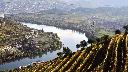 Douro vineyards.webp