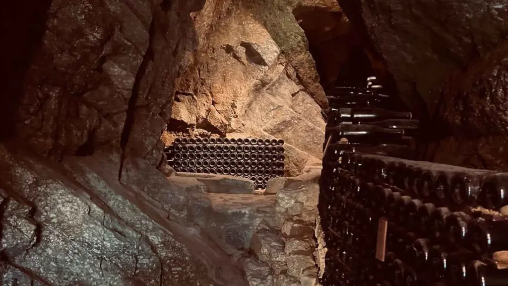 Uncharted Douro – Land Rover & Sail Edition wine cellar.webp