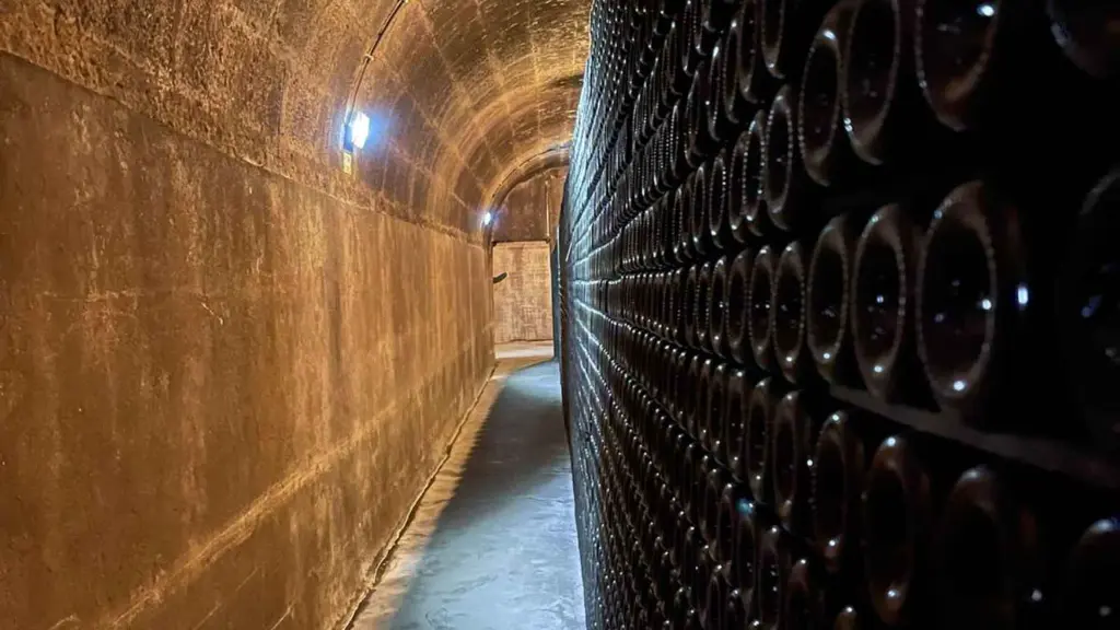 Uncharted Douro – Land Rover & Sail Edition Caves visit.webp