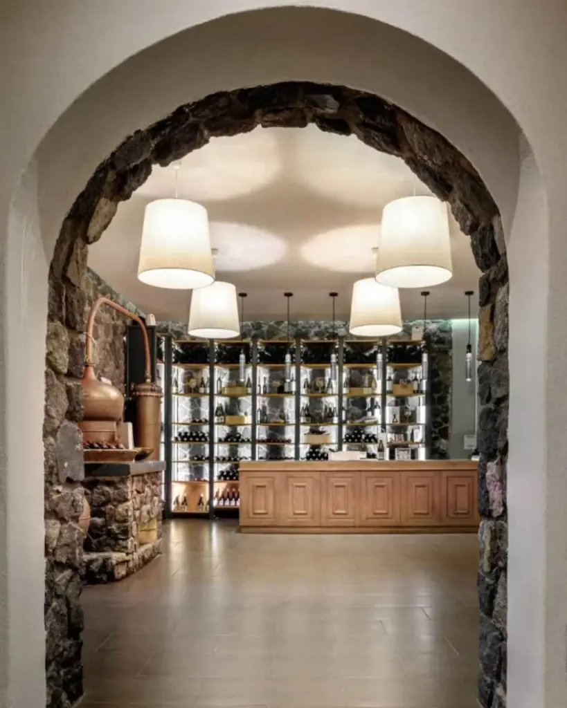 THE INDIGENOUS WINE TASTING EXPERIENCE - Greece Santorini.webp