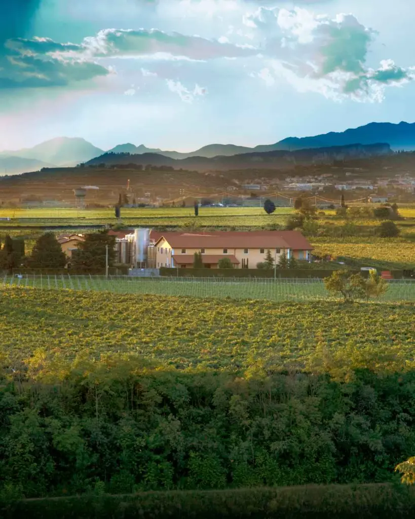 Rino Sartori winery.webp