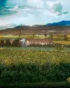 Rino Sartori winery.webp