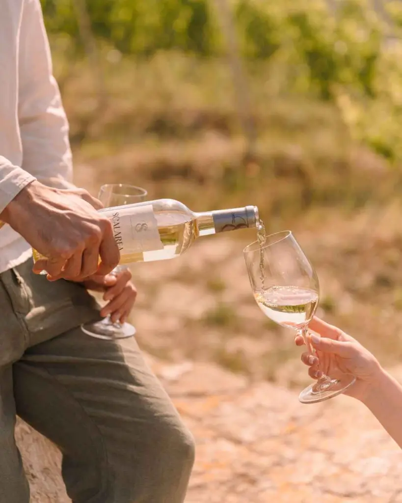 Wine picnic Scalarea Crete.webp