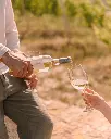 Wine picnic Scalarea Crete.webp