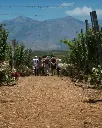 Single Area Wine Tasting Crete Lyrarakis.webp