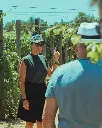 Lyrarakis tour and tasting.webp