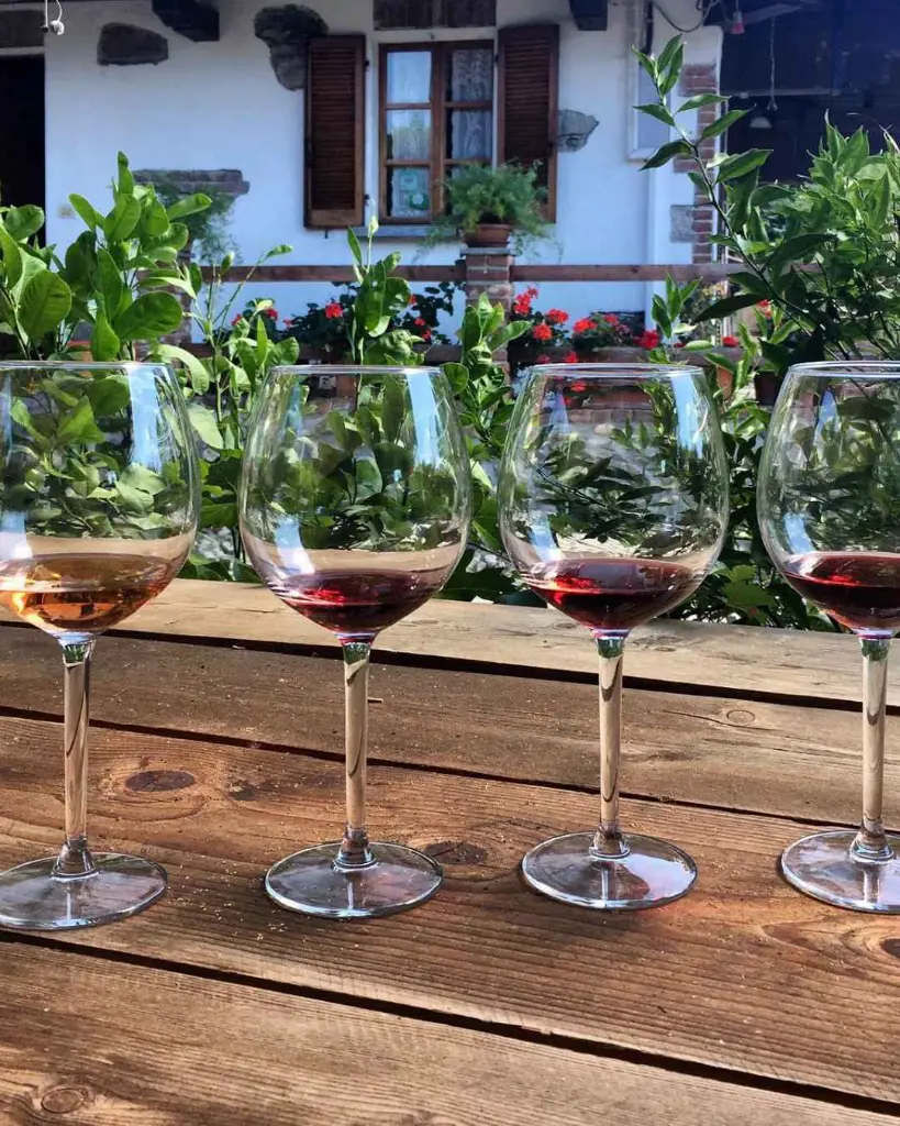 Visit of the cellar and wine tasting Fontechaira.webp