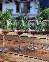 Visit of the cellar and wine tasting Fontechaira.webp