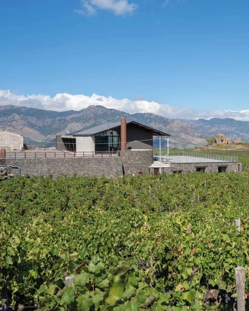 I Custodi delle Vigne dell’Etna winery .webp