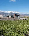 I Custodi delle Vigne dell’Etna winery .webp