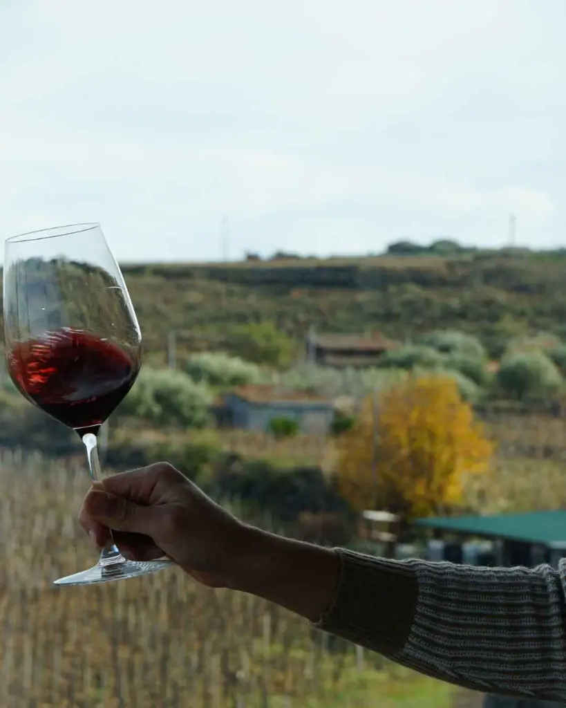 I Custodi delle Vigne dell’Etna experience.webp