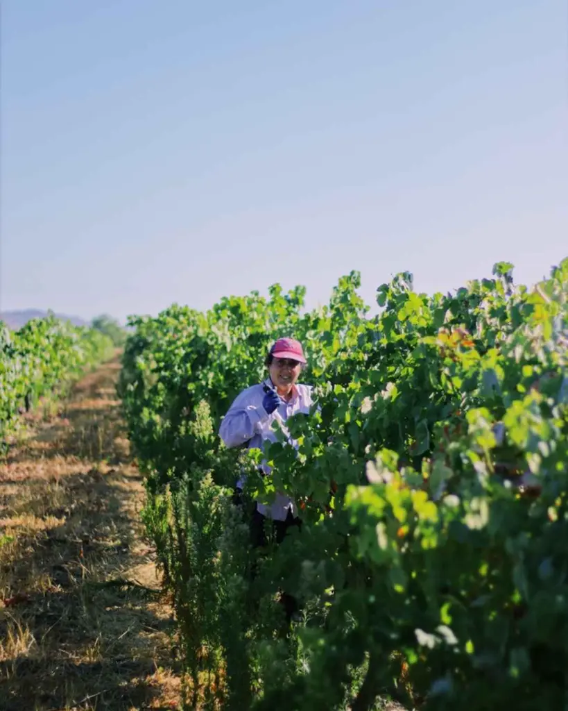 Harvest program - Casa Relvas experience Portugal.webp