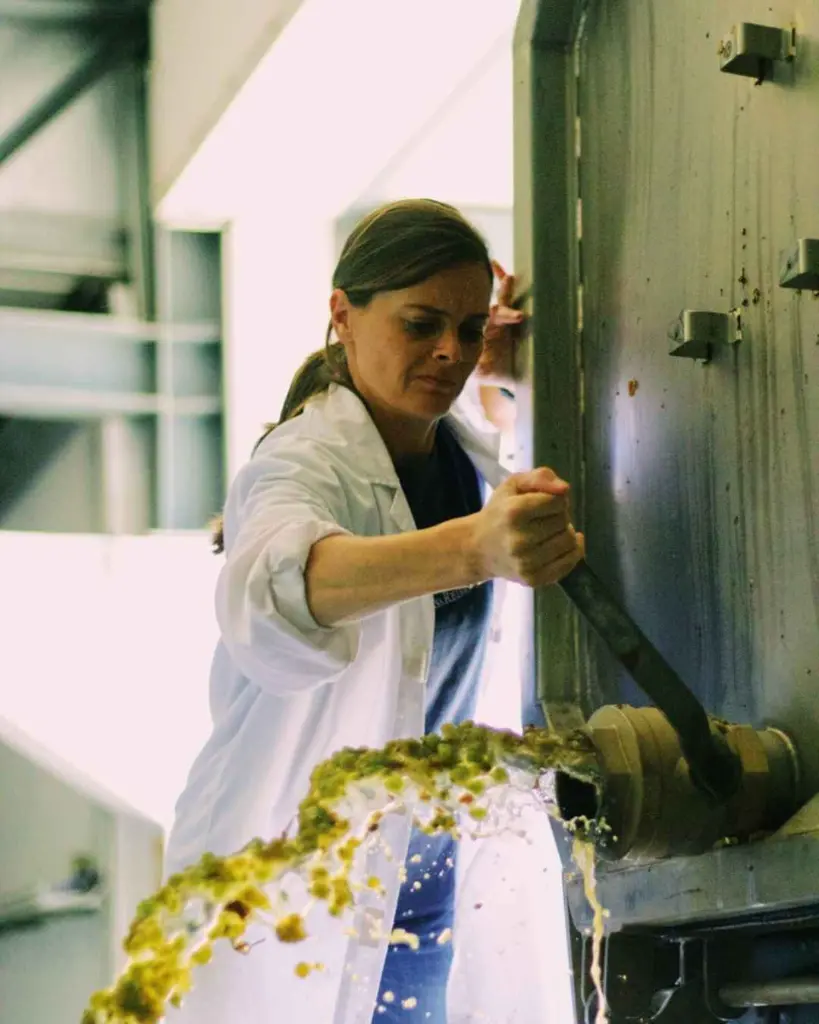 Harvest program - Casa Relvas Portugal.webp