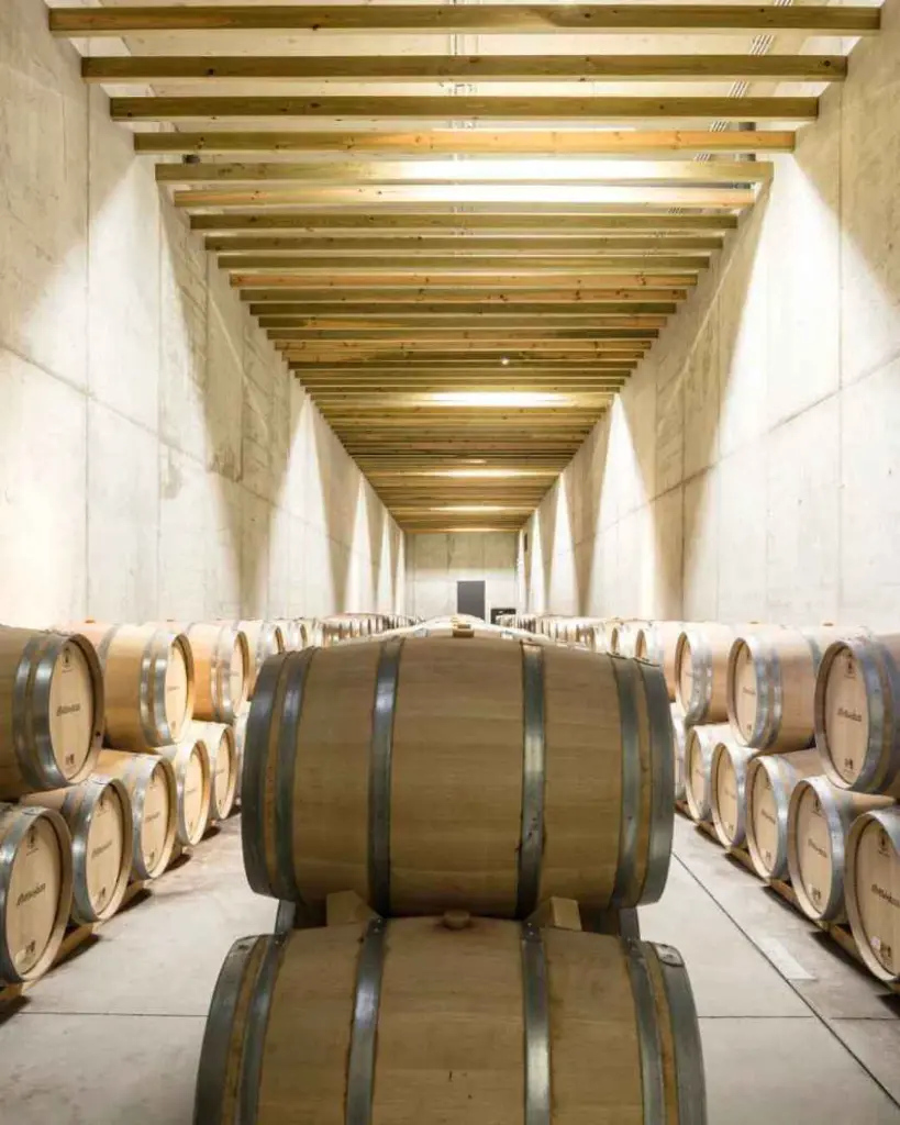 Alves de Sousa Douro and Porto classic wine cellar.webp