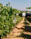 Alentejo Terroir Wine and Olive Oil Experience Portugal Alentejo experience.webp