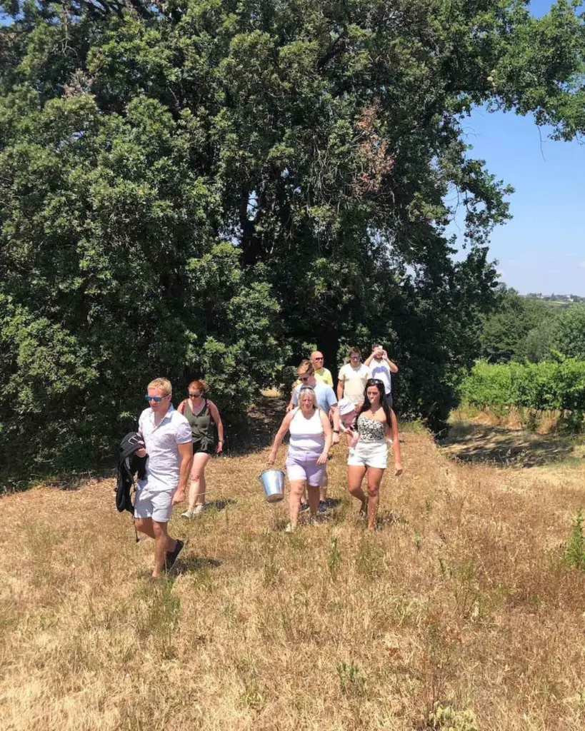 Winetasting among the vineyard .webp