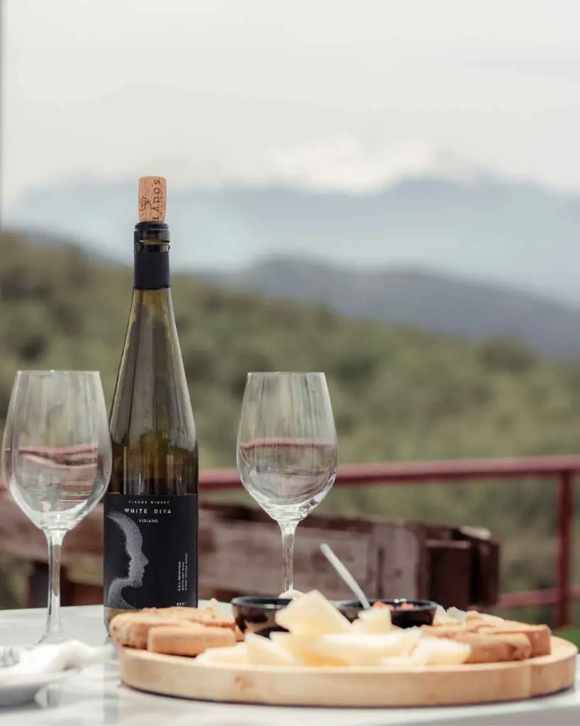 Klados winery tasting.webp