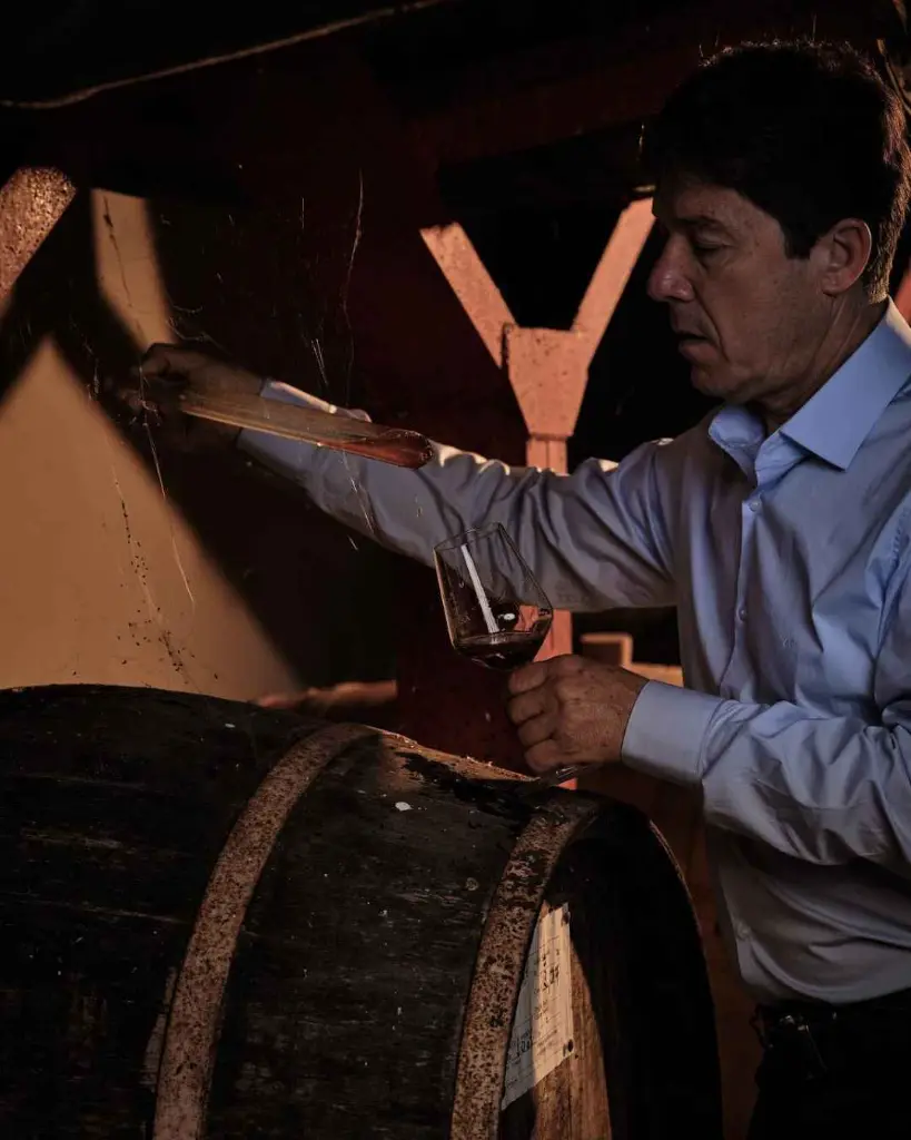 Azienda Vinicola Vernaccia F.Lli Serra, barrels.webp