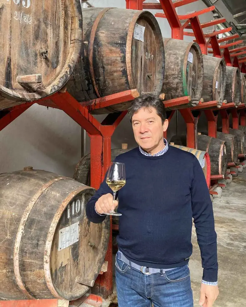 Azienda Vinicola Vernaccia F.Lli Serra, wine tour.webp