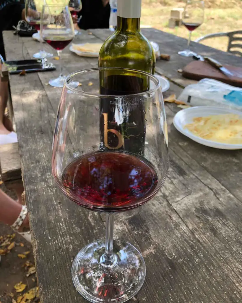 Colline Del Vento, red wine tasting.webp