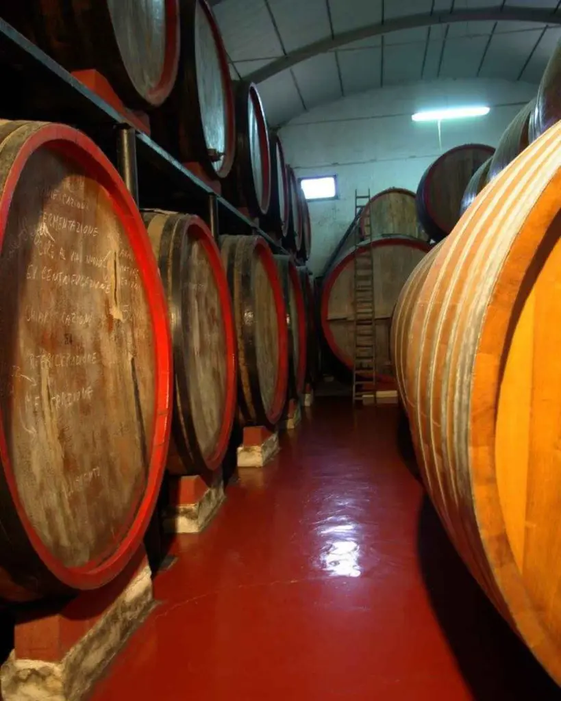 Alagna Vini, winery tour.webp