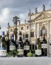 Tenuta Santa Maria di Gaetano Bertani, wines.webp