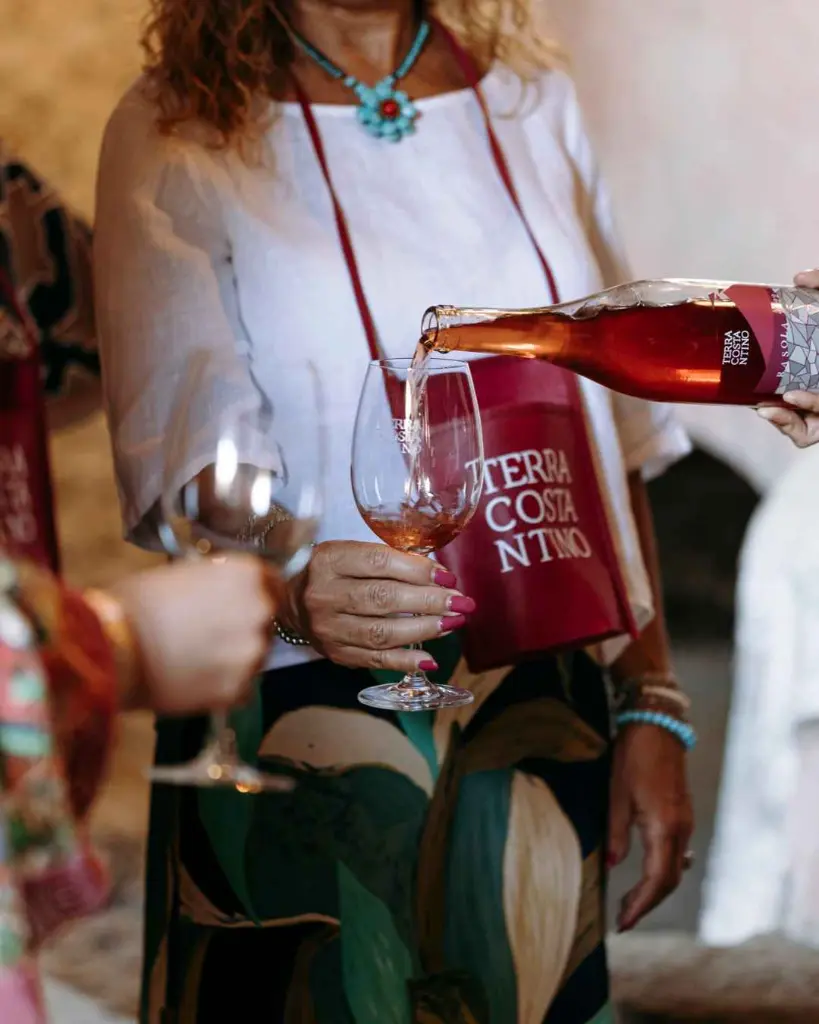 Terra Costantino, rose wine tasting.webp