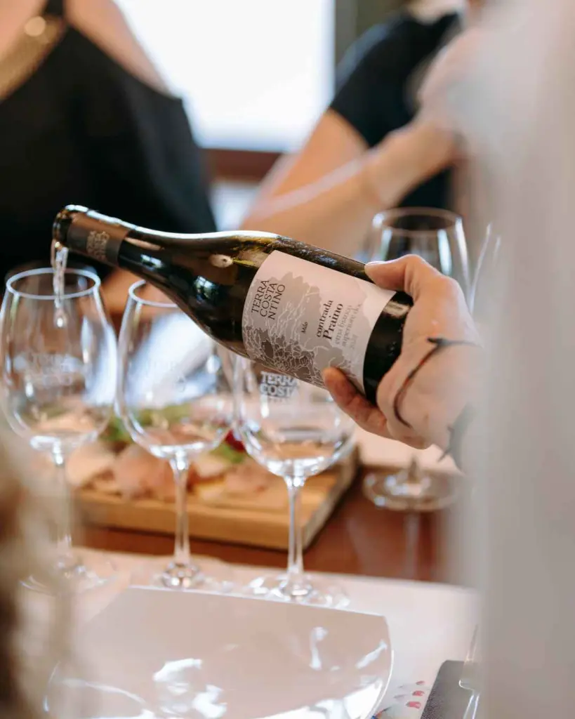 Terra Costantino, wine experience.webp