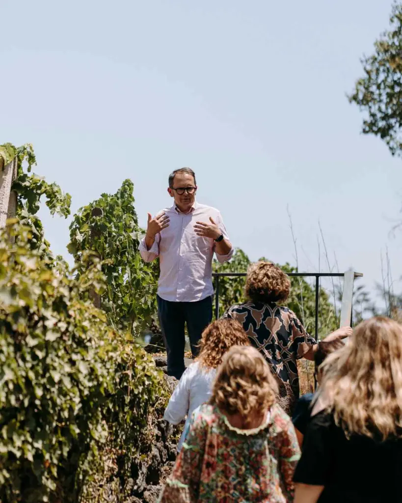 Terra Costantino, vineyard tour.webp