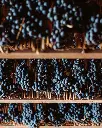 Cantina Fratelli Pardi, red grapes.webp