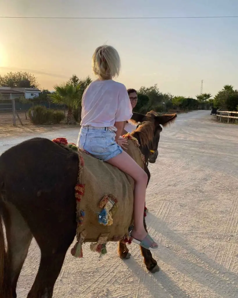 Augustali Winery, donkey.webp