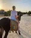Augustali Winery, donkey.webp