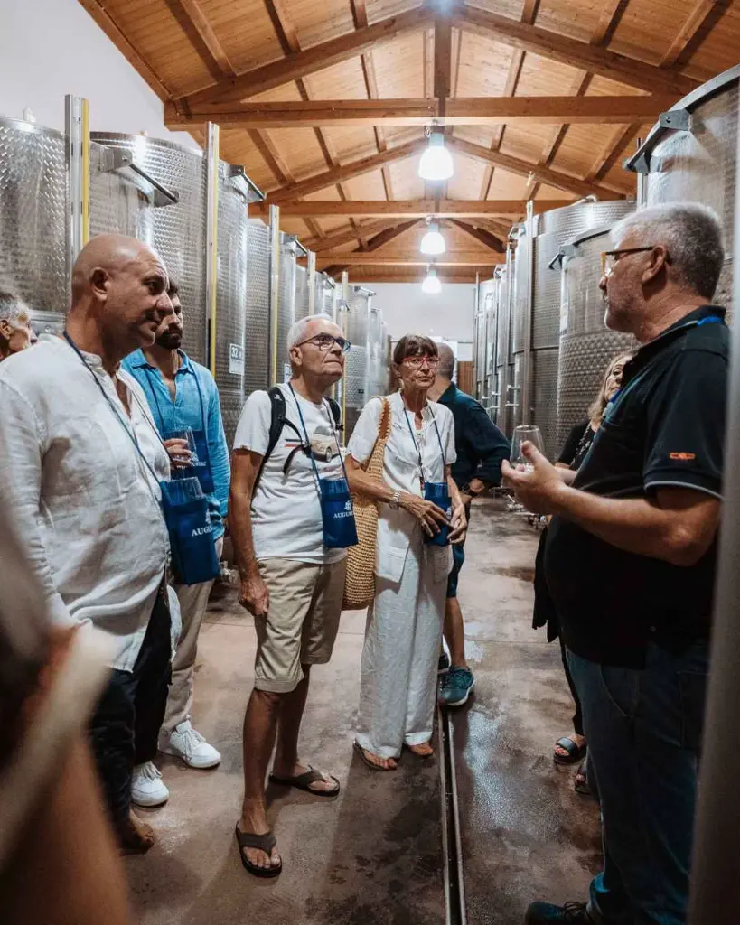 Augustali Winery, winery visit.webp