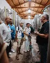 Augustali Winery, winery visit.webp