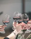 Augustali Winery, red wine tasting.webp