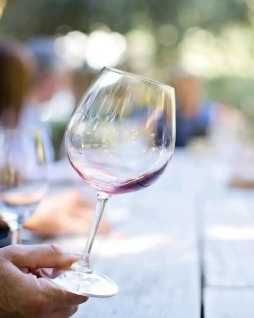 Tenuta La Favola, classic experience.webp