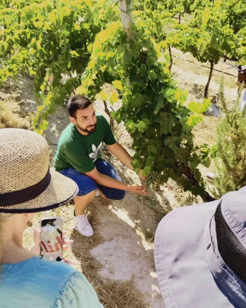 Tenuta La Favola, vineyard visit.webp