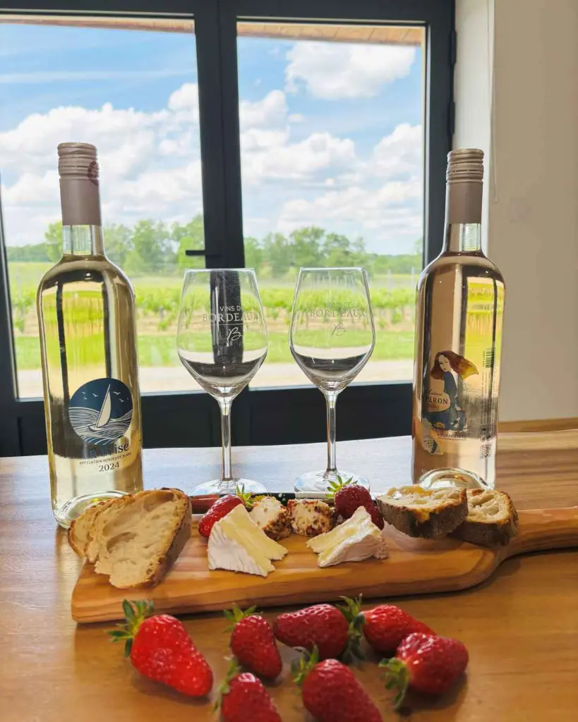 Château L'Eperon, wine and cheese tasting.webp