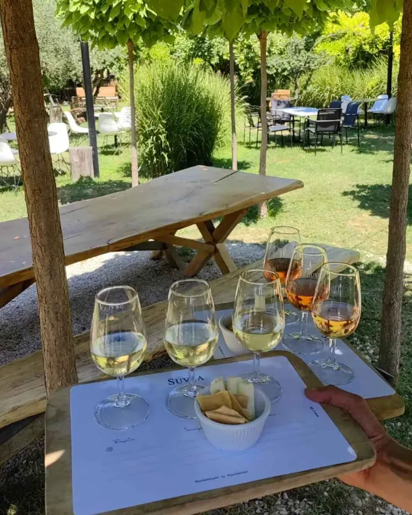 Suvla wines, tasting wines.webp