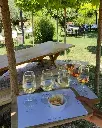 Suvla wines, tasting wines.webp
