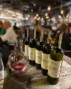 Suvla wines,red wines tasting.webp
