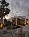Suvla wines, winery in Turkey.webp
