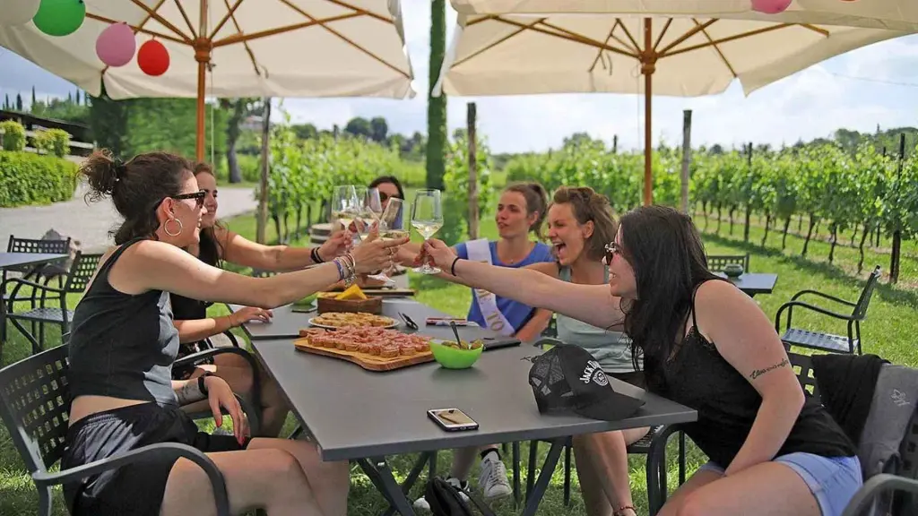 WIne and Food Tasting in the Vineyard in Lazise outdoor experience.webp