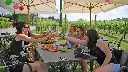 WIne and Food Tasting in the Vineyard in Lazise outdoor experience.webp