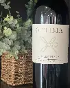 Optima winery wine blend visit and tasting.webp