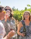 Backstage outdoor tasting.webp
