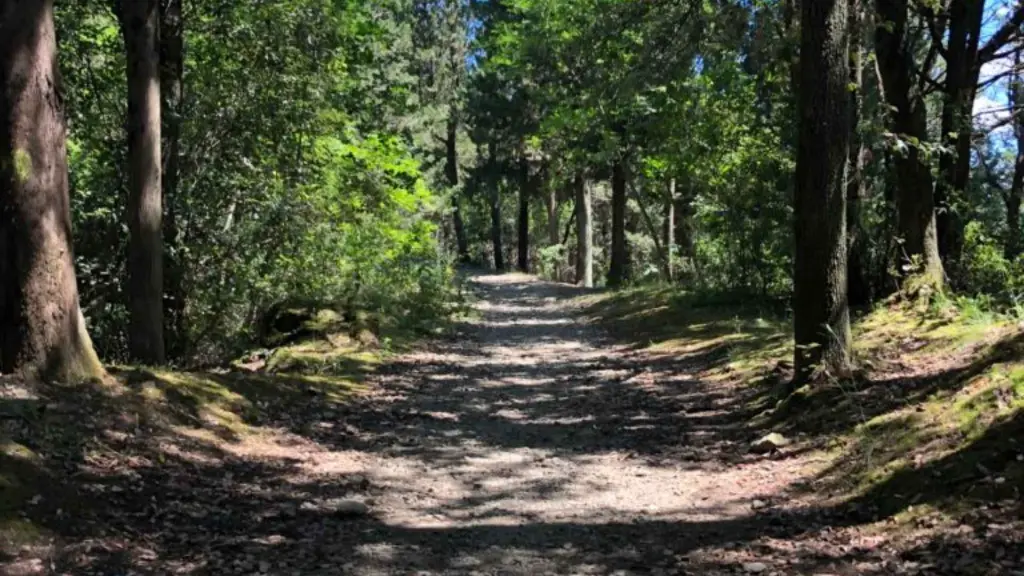 Outdoor out of Florence hike, wine adventure.webp