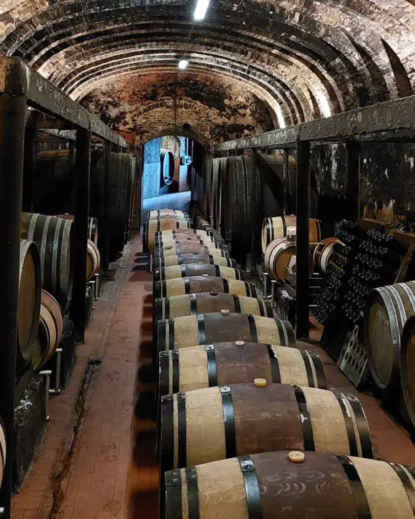 Montemorli wine cellar.webp