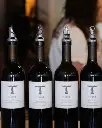 T Vine wines.webp