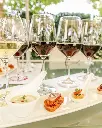 VGS Chateau Potelle signature Napa Valley tasting.webp